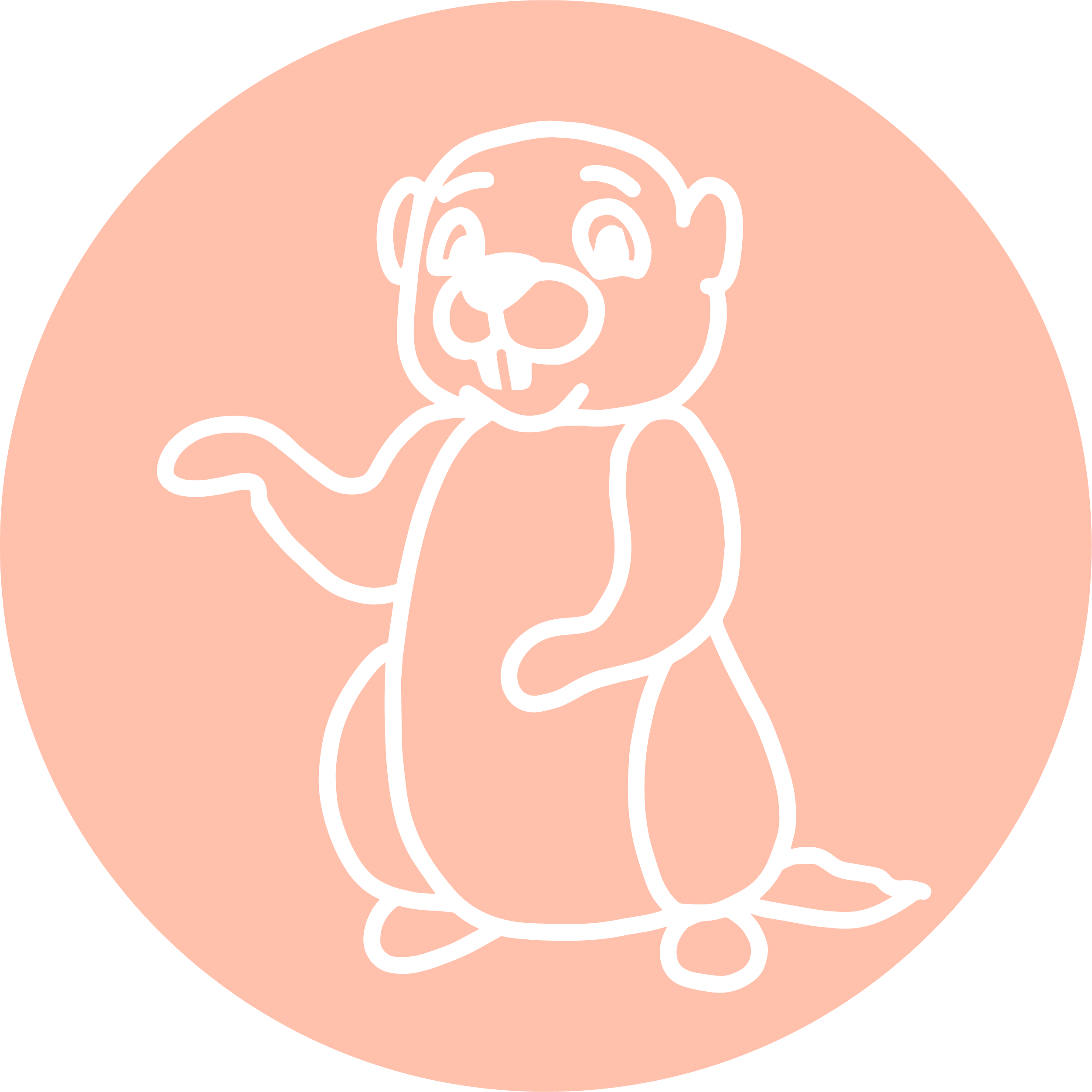 Icône marmotte